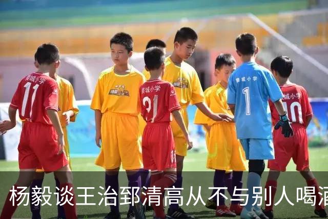 杨毅谈王治郅清高从不与别人喝酒，不用微信，还扔掉“姚明第一中锋”报道